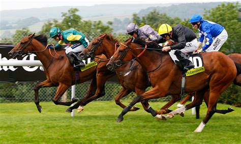 horse racing gg|today's racing uk & ireland.